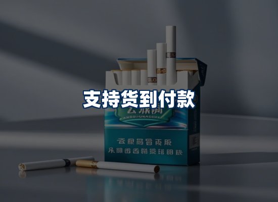 专业团队办公环境
